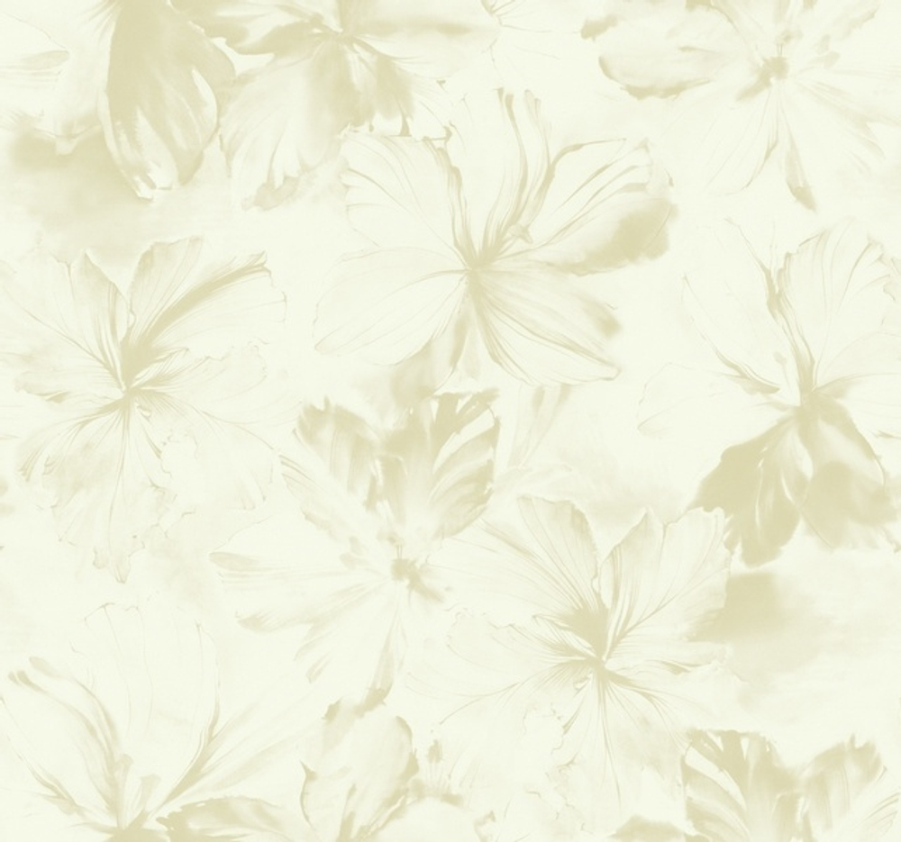 Обои Carl Robinson Edition 2 22706 CB