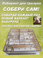 Лабиринт для хомячка, грызуна