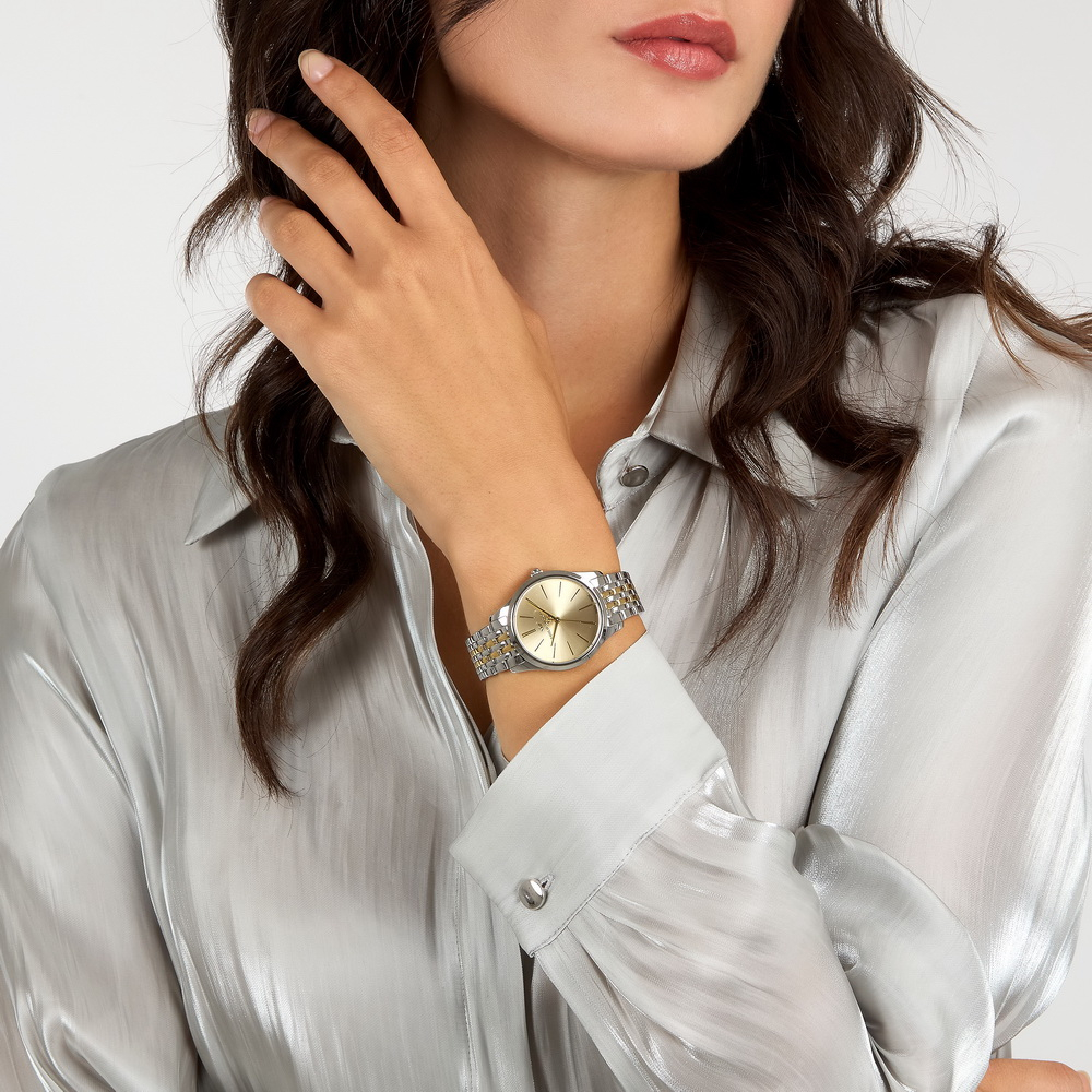 Philip Watch R8253208527