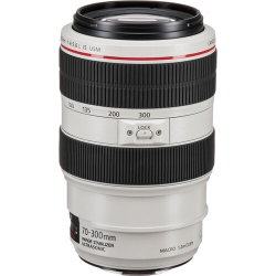 Canon EF 70-300mm f/4-5.6L IS USM