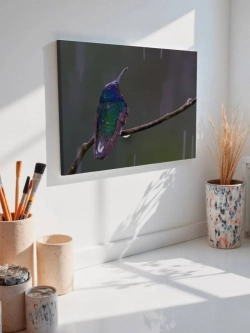Картина на стену 40 X 50 Колибри