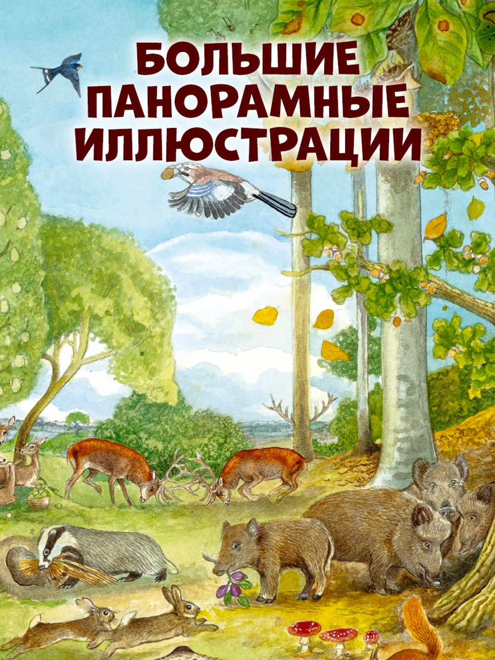 Найди и покажи. 1000 животных