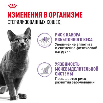 Royal Canin Sterilised влажный корм в Желе для стерилизованных кошек и кастрированных котов старше 1 года 85 гр