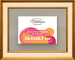 Рамка 29,7x39,7 для постера и фотографий