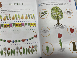 Развиваю логическое мышление: для детей 5-6 лет. Ломоносовская школа