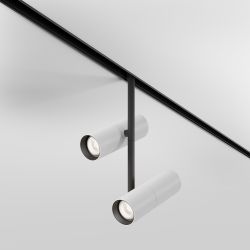 Трековый светильник светодиодный Maytoni Exility   TR005-4-2X12W-DS-BW