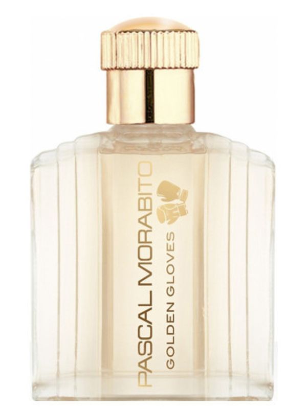 Pascal Morabito Golden Gloves