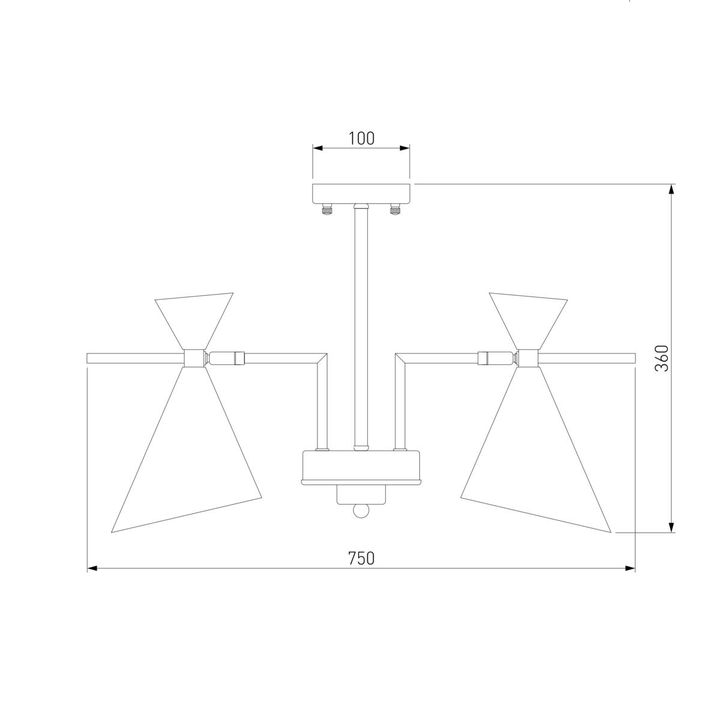 Потолочная люстра Eurosvet Apart 70114/5 белый