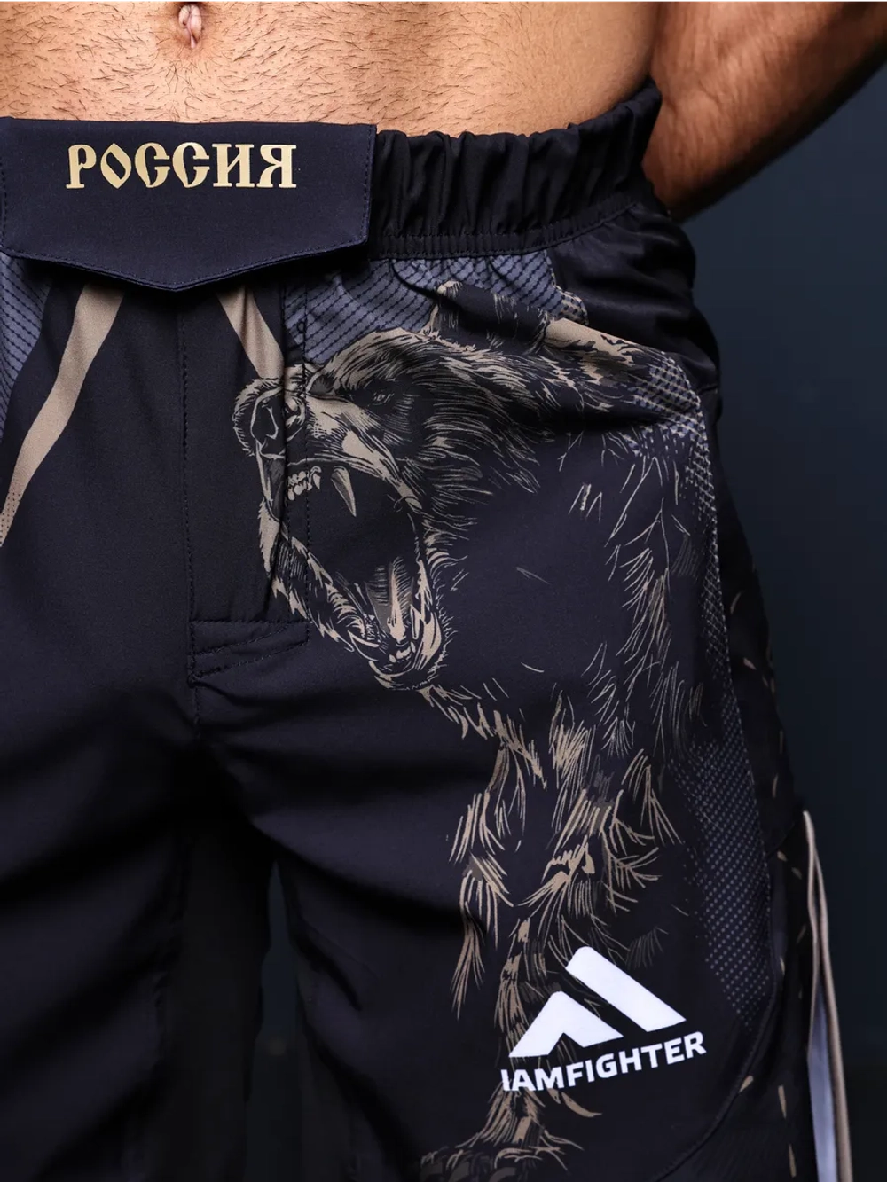 Спортивные шорты мма Россия с гербом для единоборств