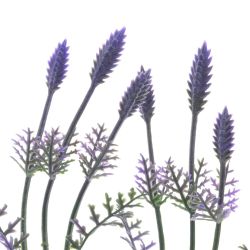 GAEM Цветок искусственный "Амброзия", L10 W10 H40 см, 5в.