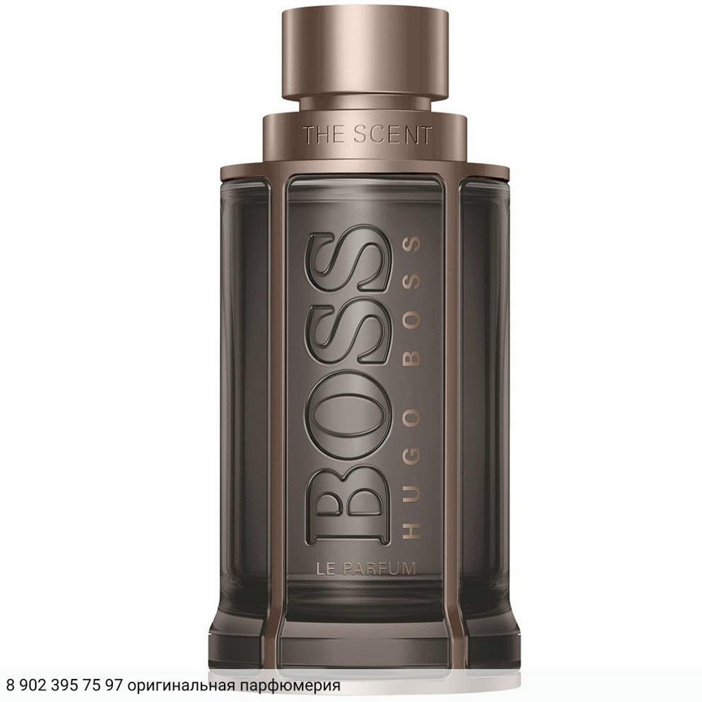 The Scent Le Parfum for Him