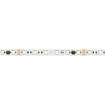 Лента светодиодная Arlight DMX-12-5060-60 033449