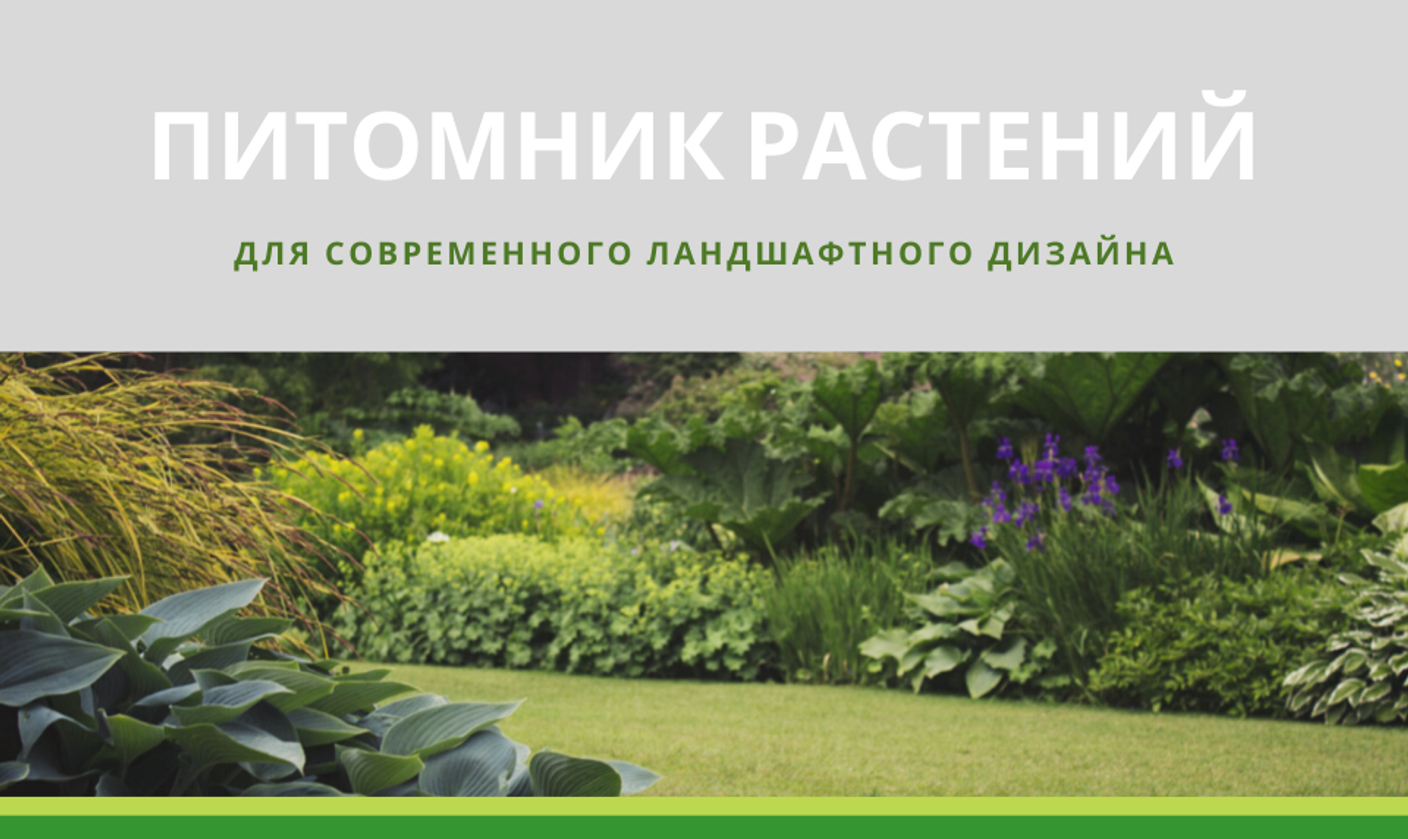 ПЕРЕЙТИ В КАТАЛОГ