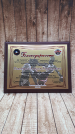 Диплом на плакетке 23х30см