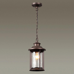 Уличный подвесной светильник Odeon Light 4961/1
