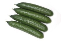 Хай Лайт F1 семена огурца (Nunhems / Нюнемс)