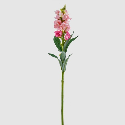 Львиный зев 59 см