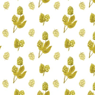 Зеленый хмель