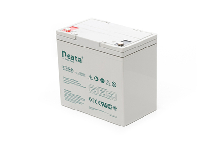 Аккумулятор NEATA NTG12-55