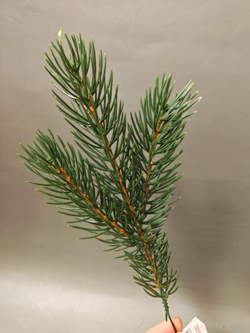 Ветка еловая зеленая 20 см