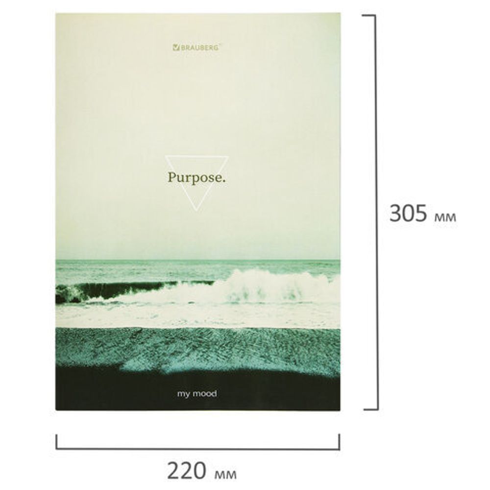 Тетрадь на кольцах БОЛЬШАЯ А4, 215х305 мм, 100 л., твердый картон, клетка, BRAUBERG, "Nature", 405411