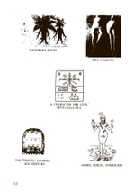 Magica Sexualis. Записки о любви, чёрной магии и тайных науках (PDF)