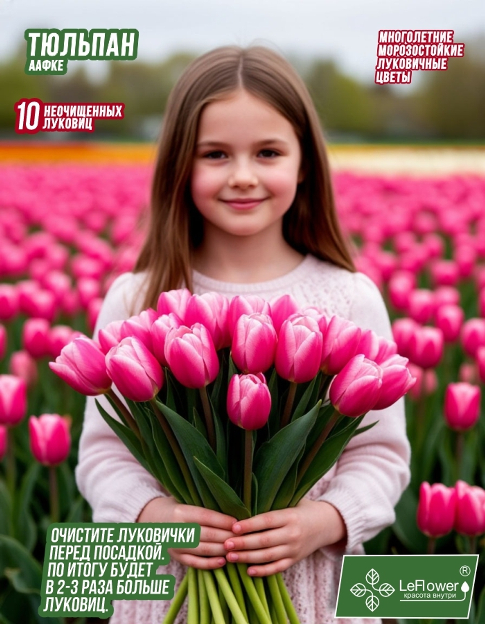 Тюльпан Луковица, Аафке, 10шт