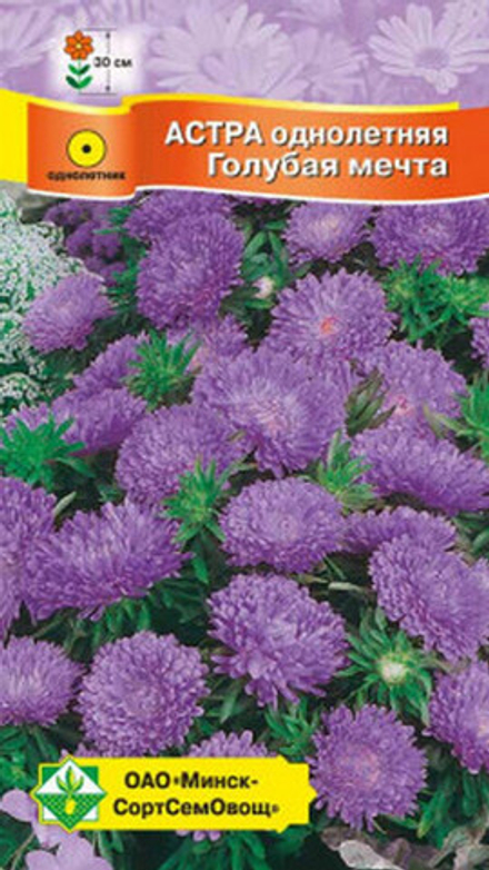 Астра карликовая "Голубая мечта" 0.3г