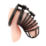 Черная металлическая клетка с замком Deluxe Chastity Cage (Цвет: черный)