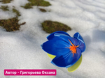 ИЗОЛОН ППЭ, цвет - ВАСИЛЬКОВЫЙ, толщина 2 мм, ширина 75 см, (цена за 1 метр)