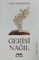 Gerisi nağıl