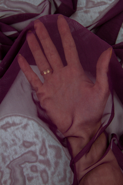 Сетка эластичная слива (Турция) метражом