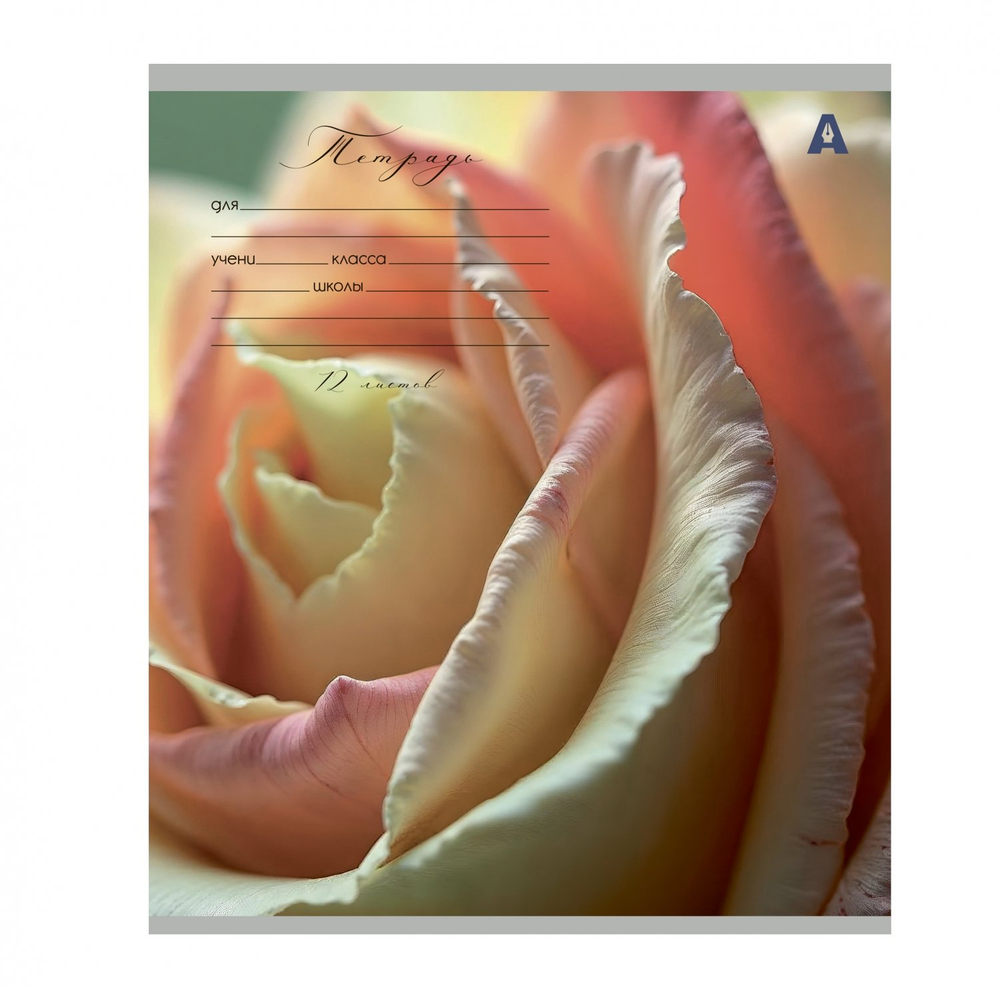 Тетрадь 12л., клетка, Alingar, скрепка, блок офсет, 100% белизна, мелованный картон (стандарт), "Цветы"