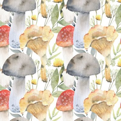 Лес, грибы, мухомор, лисички