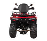 Квадрицикл Bizon YK250 LUX EFI (ПТС)