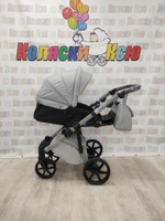 Коляска модульная Adamex Nola Natura N-9-Moon