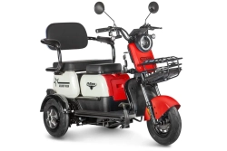 Электротрицикл Gelbert Vega 48V/60V 600Вт