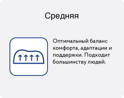 Подушка пуховая "Большая медведица"