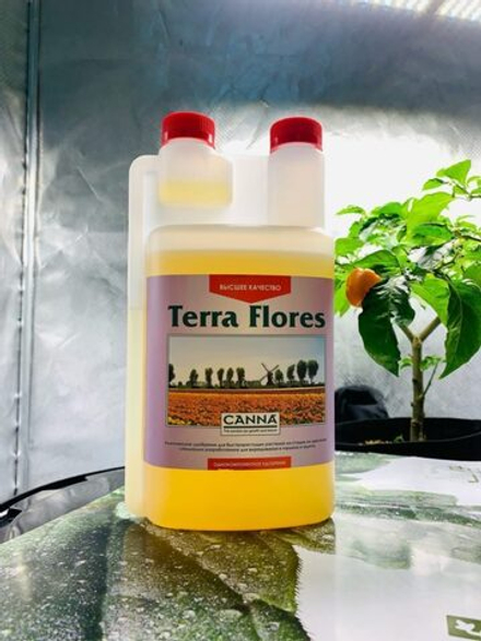 Canna Terra Flores 1 л