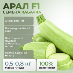 АРАЛ F1 семена кабачка (Sakata | Alexagro)
