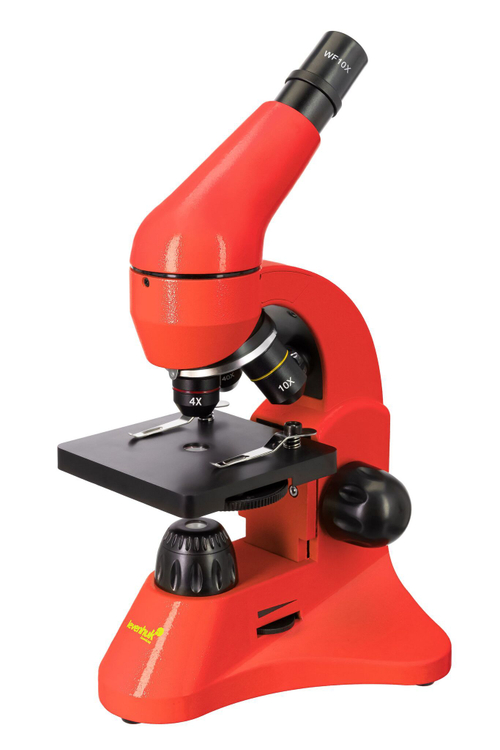 Микроскоп Levenhuk Rainbow 50L Апельсин c Levenhuk K50