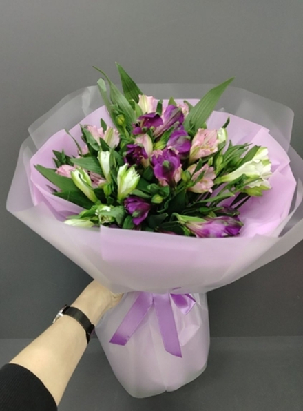 Стойкие альстромерии