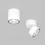 Потолочный светильник Outdoor O310CL-L12W3K