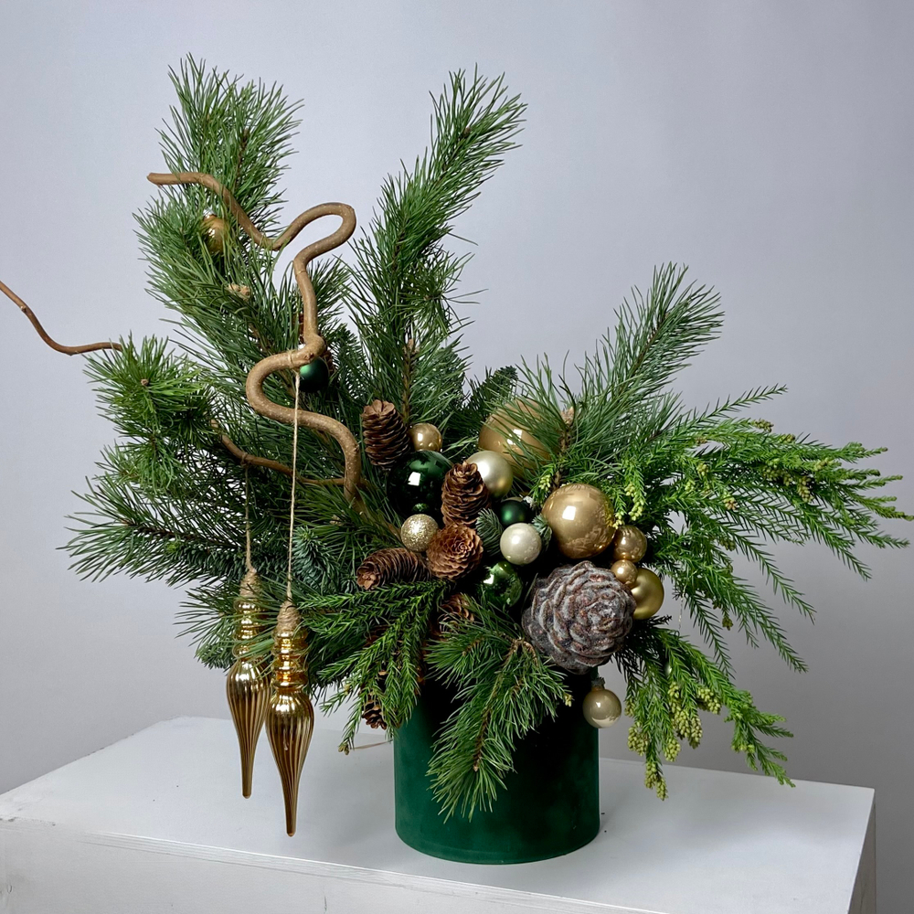 Композиция из хвои Зеленый бархат