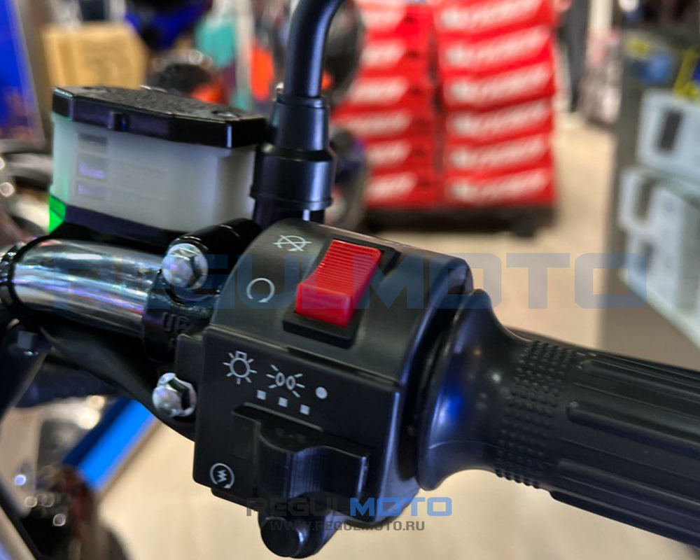 Мотоцикл Regulmoto SK200-6 с ПТС