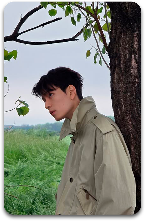 Карта / STRAY KIDS #3530