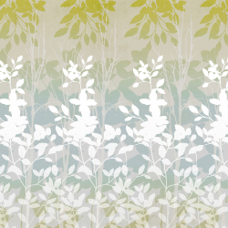 Коллекция Flora