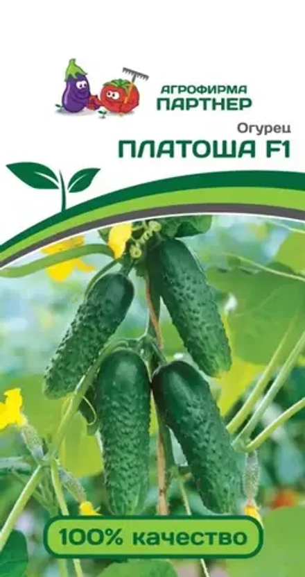 Огурец Платоша