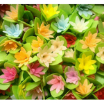 Вафельные РОЗЫ малые 10шт абрикосовые