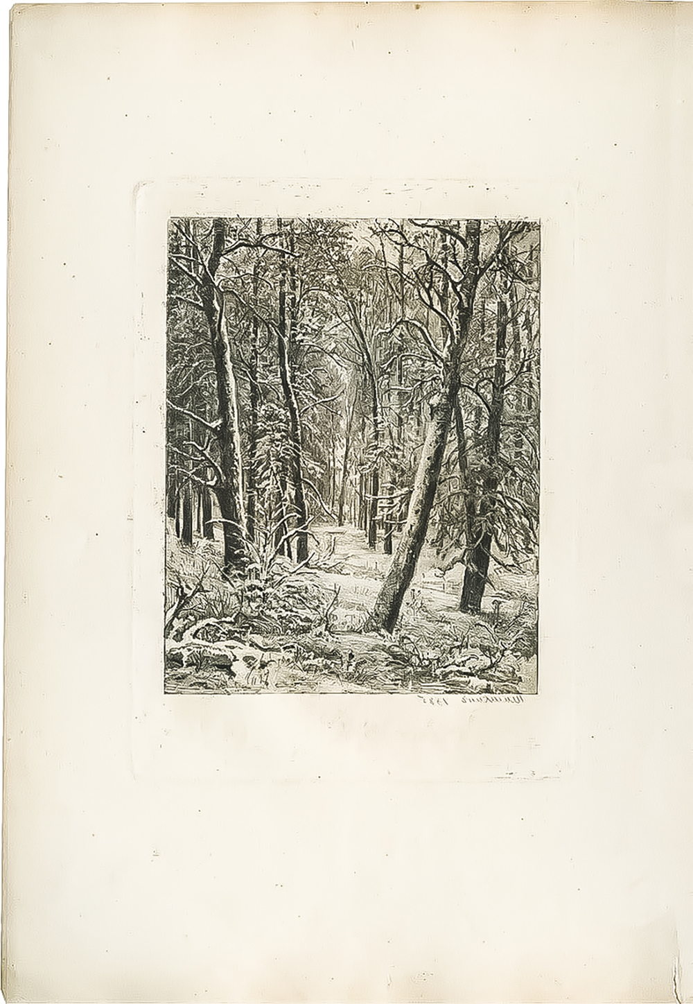 Шишкин Иван Иванович. Зима. Бумага, офорт. 1885–1891 гг.